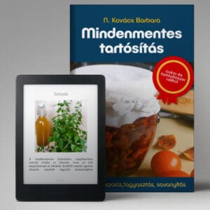 Mindenmentes tartósítás e-book